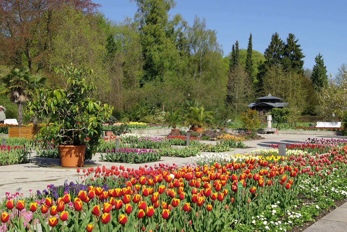 Ein Fr Hling Voller Blumen Und Veranstaltungen Im Botanischen Garten