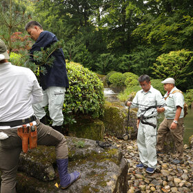 Japaner beschneiden Büsche