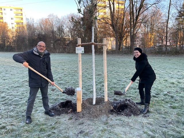 Ein Mann und eine Frau pflanzen einen Baum auf einer Wiese