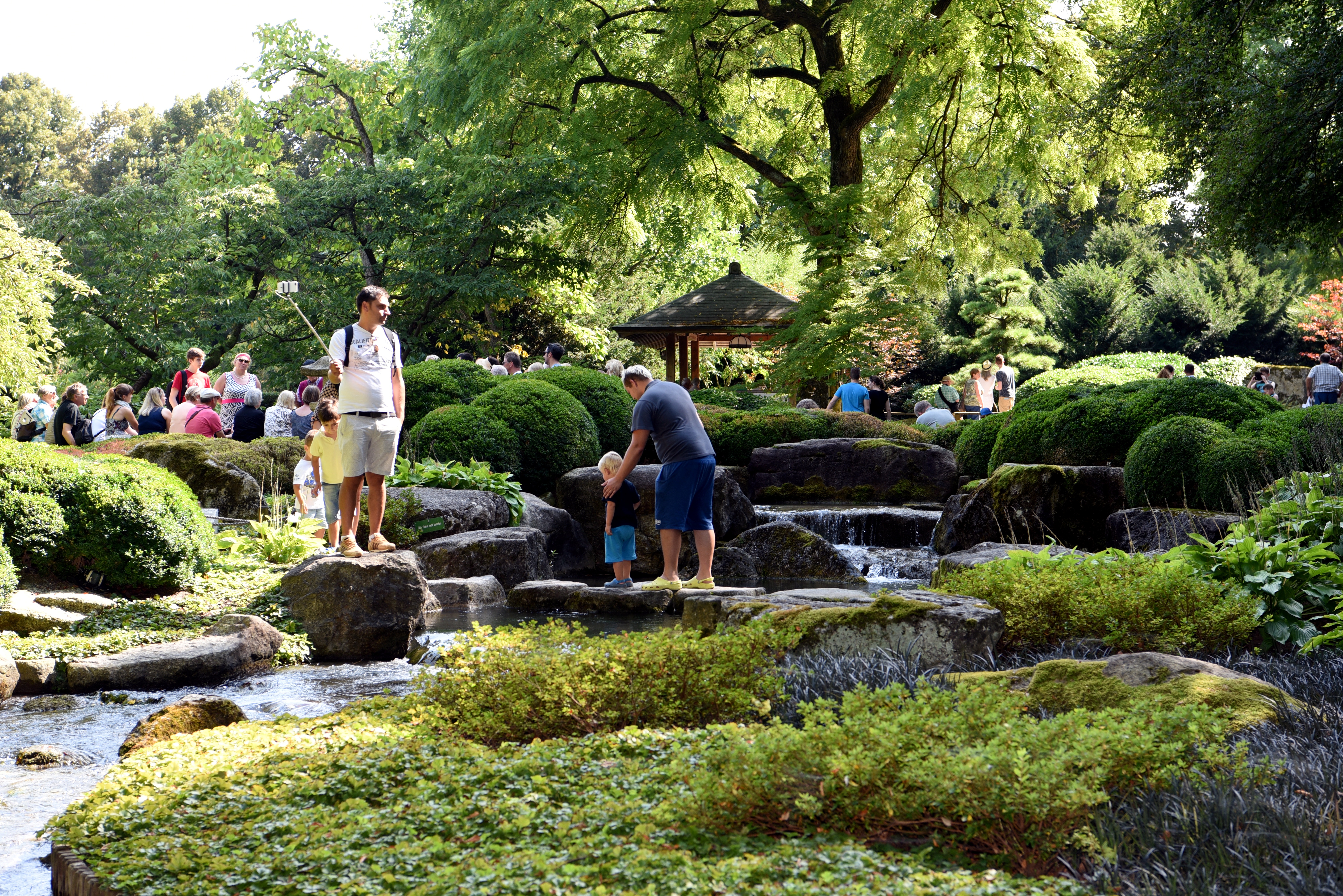 Im Botanischen Garten stehen viele Menschen an einem Bachlauf. Ein Vater läuft mit seinem Sohn über Steine, die im Bach stehen