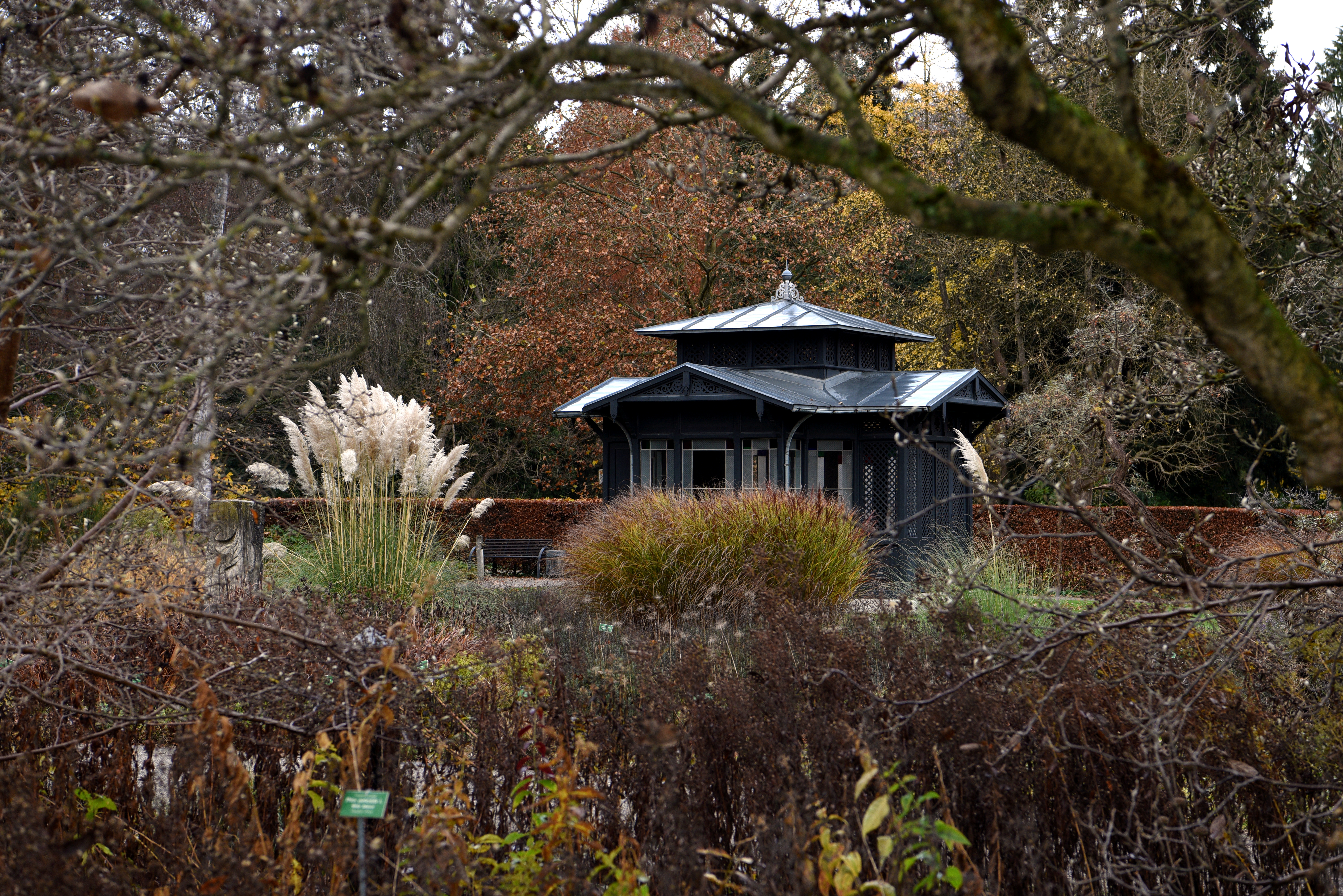 Botanischer Garten in Herbststimmung, buntes Laub, bedecktes Wetter